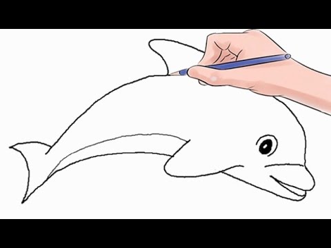 480x360 How To Draw A Dolphin Easy Step - Simple Dolphin Drawing