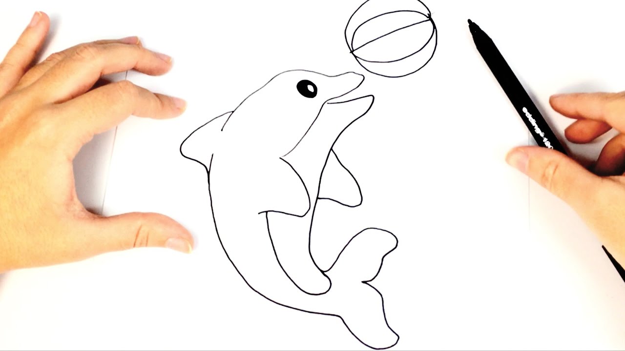 1280x720 how to draw a dolphin for kids dolphin drawing lesson step - Simple Dolphin Drawing
