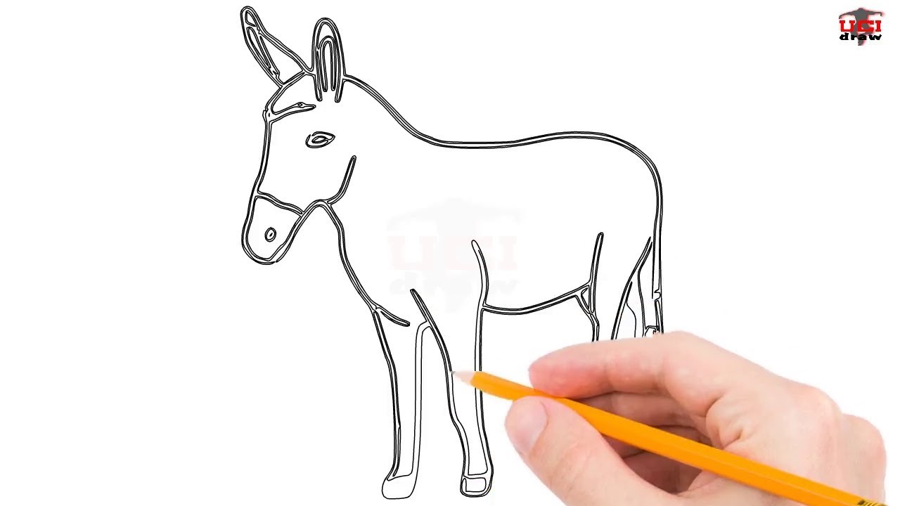 1280x720 How To Draw A Donkey Step - Simple Donkey Drawing