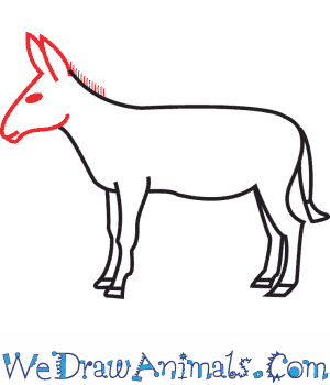 300x350 How To Draw A Donkey - Simple Donkey Drawing