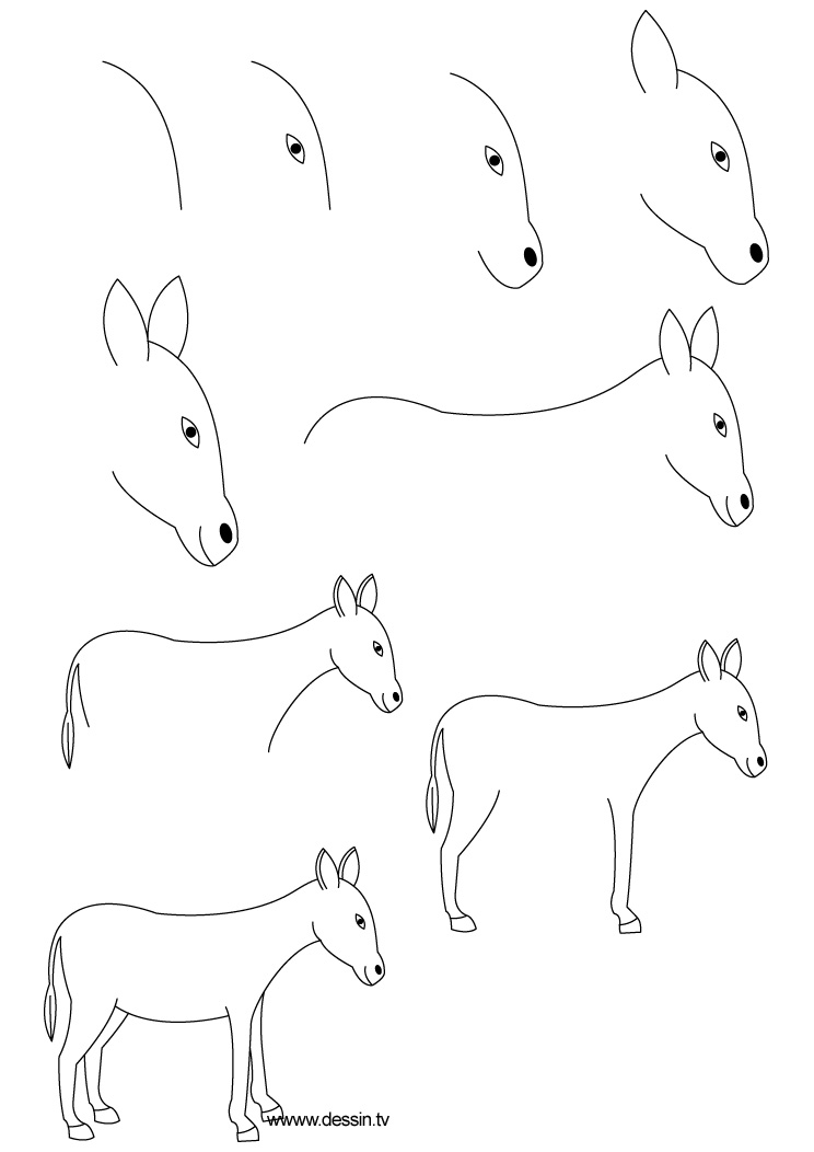 744x1052 Drawing Donkey - Simple Donkey Drawing