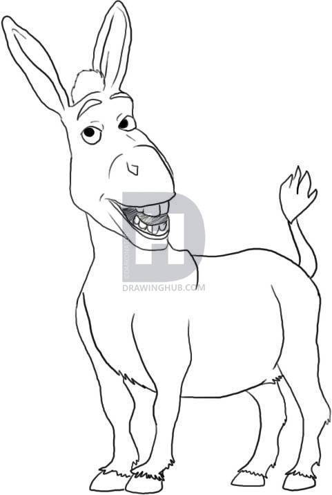 481x716 How To Draw Donkey From Shrek, Step - Simple Donkey Drawing
