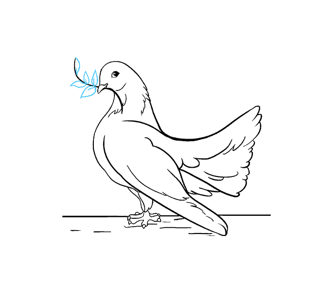 678x600 How To Draw A Dove In A Few Easy Steps Easy Drawing Guides - Simple Dove Drawing