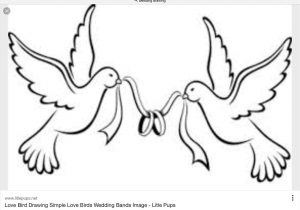 300x210 Simple Dove Drawing Black White Line Drawing Dove Stock - Simple Dove Drawing