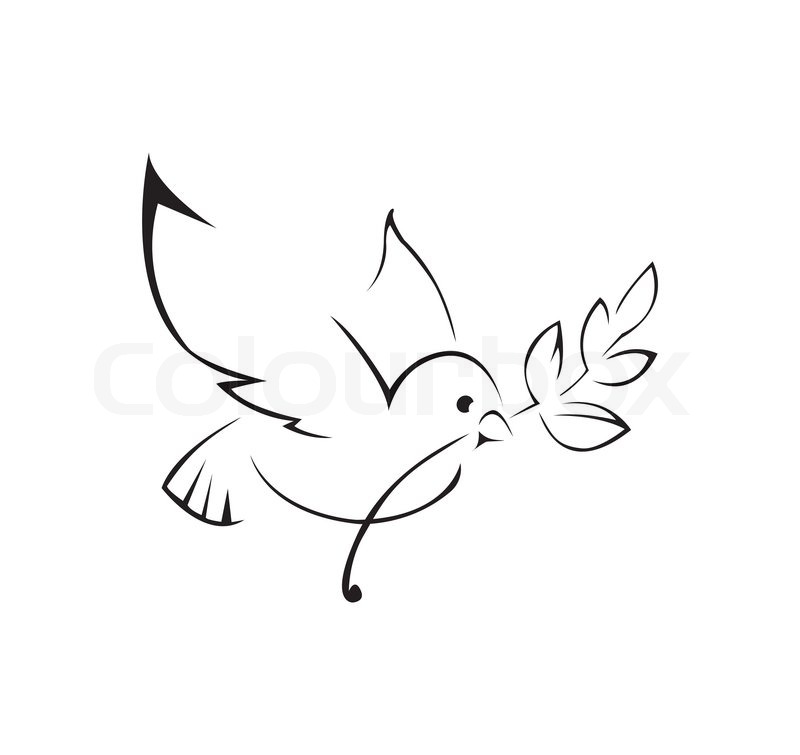 800x755 Dove Of Peace Simple Symbol Stock Vector Colourbox - Simple Dove Drawing