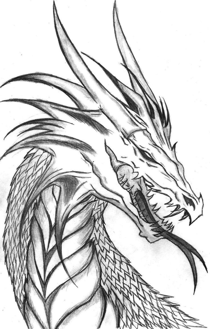 736x1154 Latest Simple Dragon Pictures Innovative Sketc - Simple Dragon Drawing