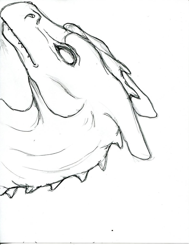 786x1017 Simple Dragon - Simple Dragon Head Drawing