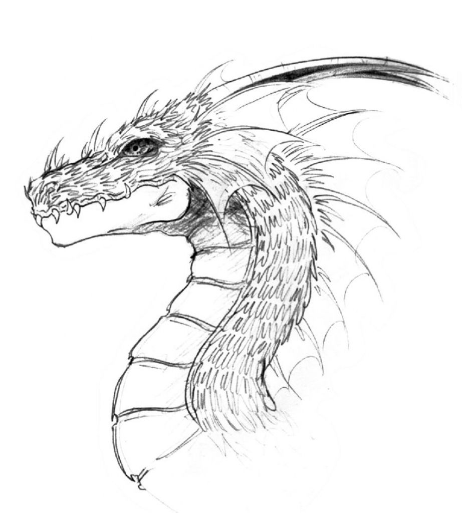 Simple Dragon Head Drawing At Paintingvalley Com Explore