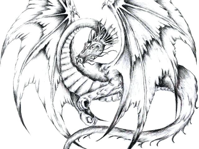 640x480 Free Simple Dragon Download Free Clip Art Free Clip Art On Simple - Simple Dragon Line Drawing