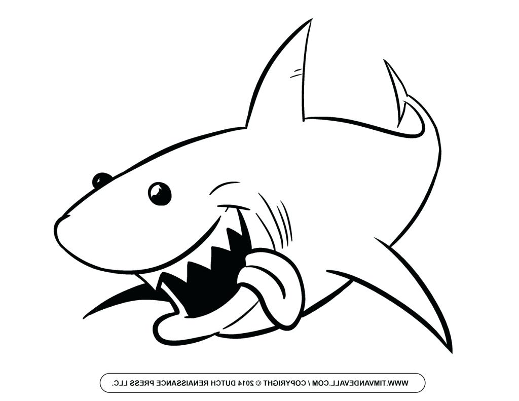 1024x791 Easy Shark Drawings Simple Drawing Of A Shark Shark Drawing - Simple Drawing Images