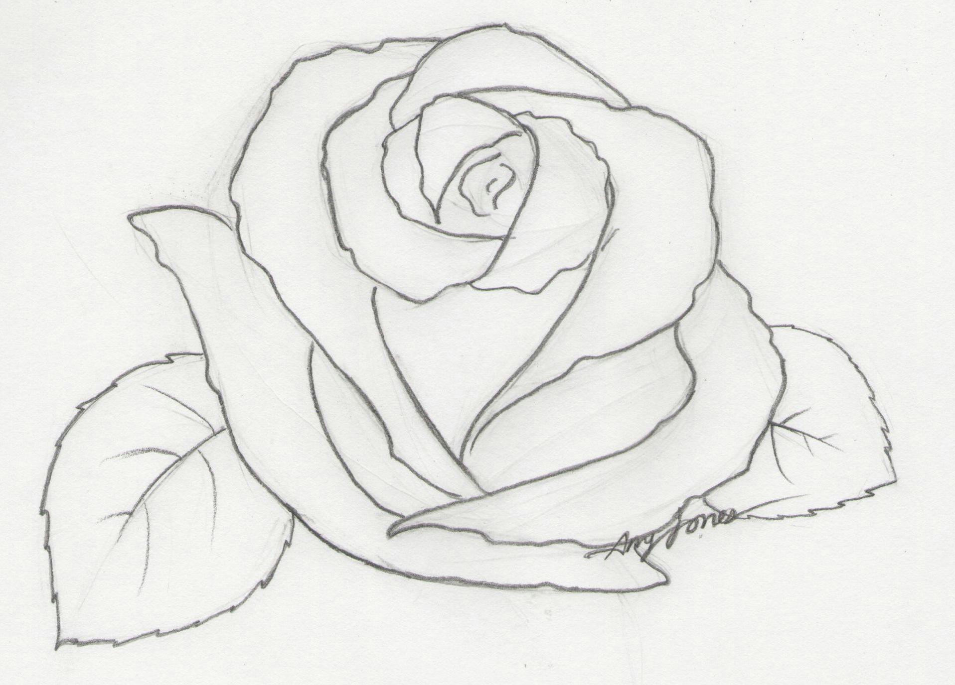 1916x1376 A Simple Drawing Of A Rose Hoontoidly Roses Drawings Images - Simple Drawing Images