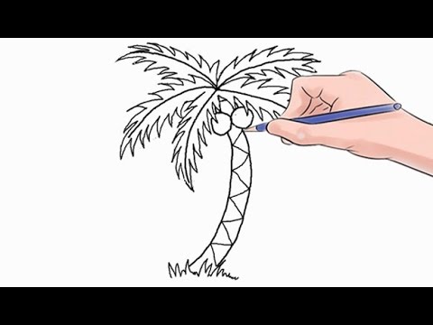 480x360 How To Draw A Palm Tree Easy Step - Simple Drawing Of A Palm Tree