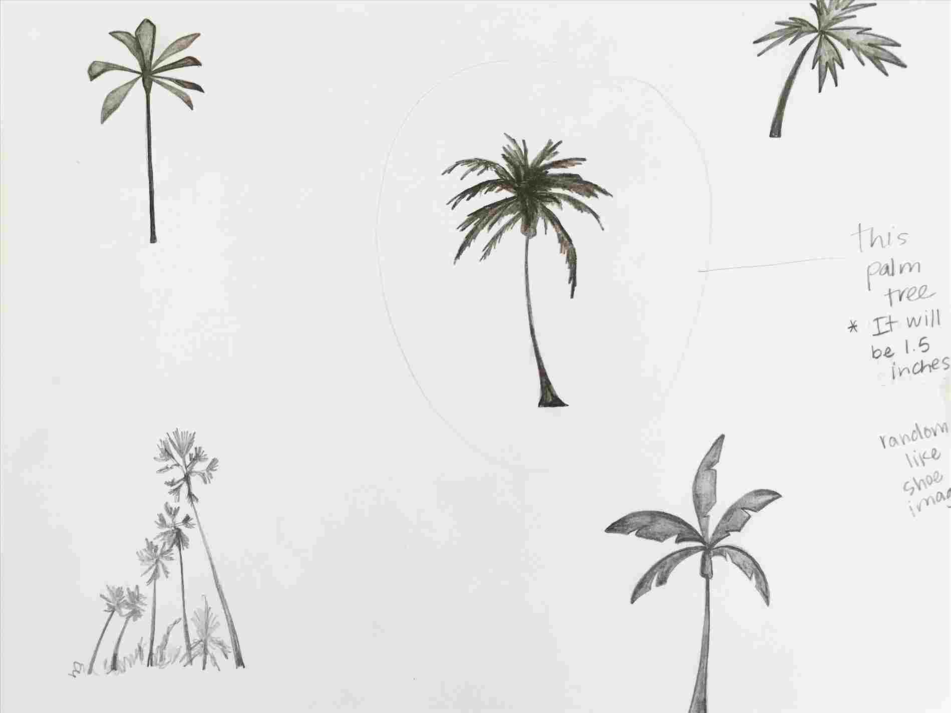 1899x1424 Just Simple Palm Tree Drawing Add Sugar Palm Tree Drawing - Simple Drawing Of A Palm Tree