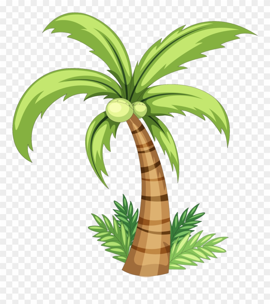 Clip Art Easy Palm Tree Drawing