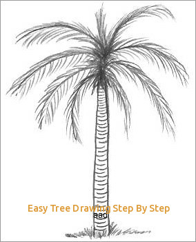 284x351 Easy Tree Drawing Step - Simple Drawing Of A Palm Tree