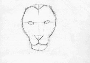 300x210 Drawings For Beginners Drawing Rhcongresoeducacionucsfinfo Step - Simple Drawings