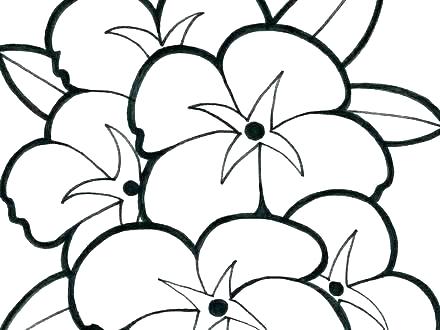 440x330 Simple Drawing For Kid Coloring Pages Flowers And Hearts Halloween - Simple Drawings For Toddlers