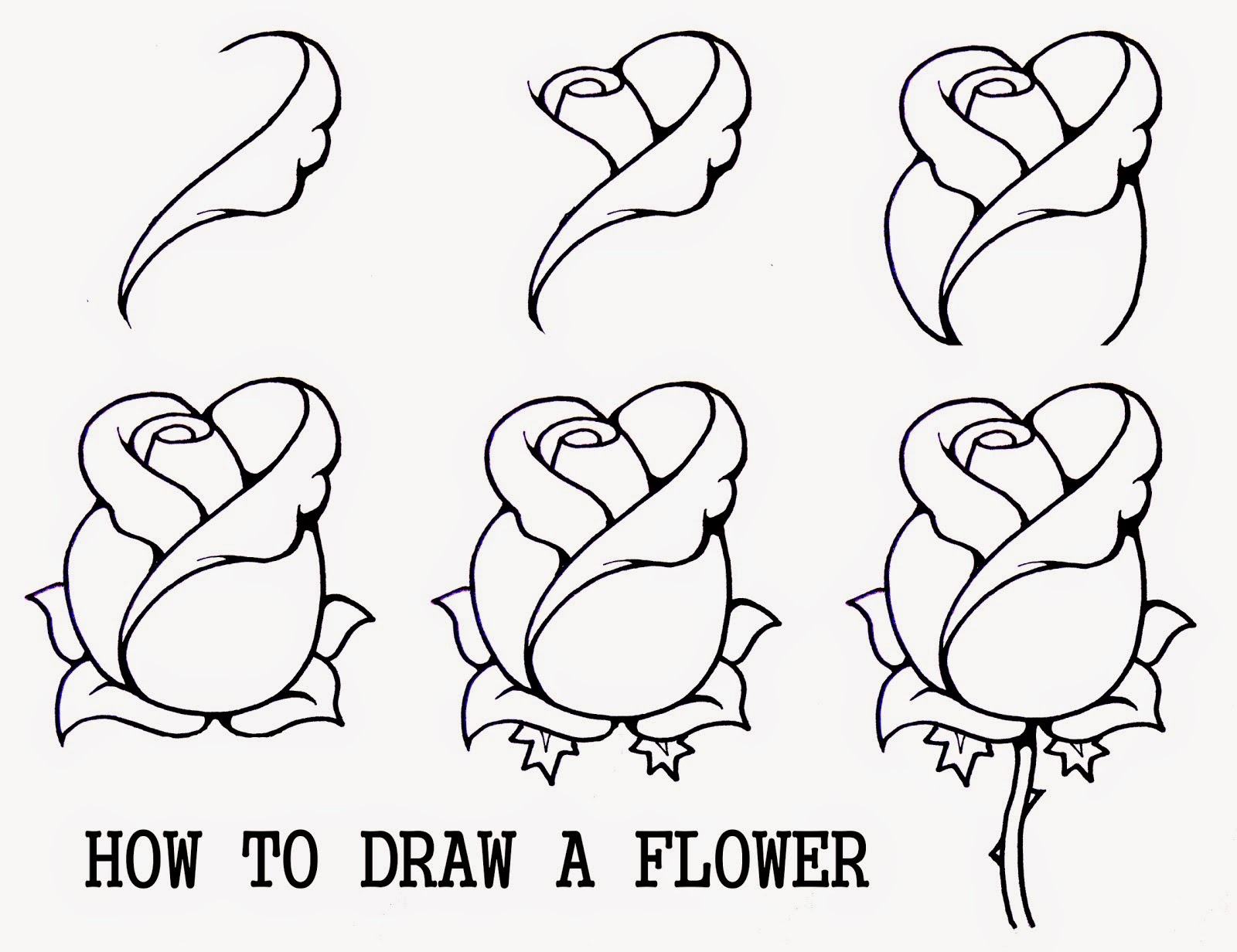 1600x1232 How To Draw A Flower Easy Step - Simple Drawings Step By Step