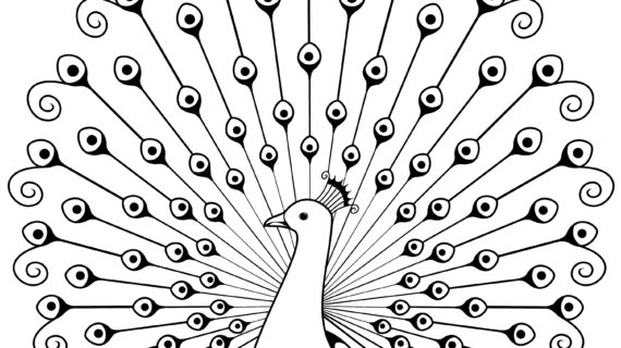 570x320 Simple Drawings Step - Simple Drawings Step By Step