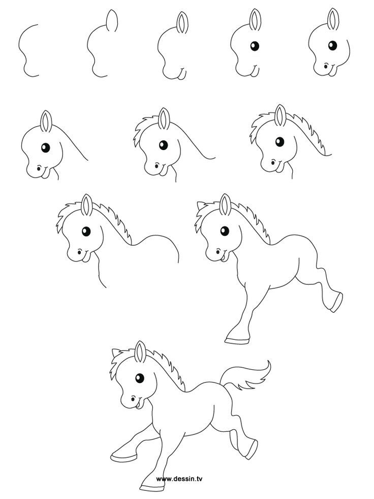 736x981 Easy Drawing Steps Learn How To Draw A Little Pony With Simple - Simple Drawings Step By Step