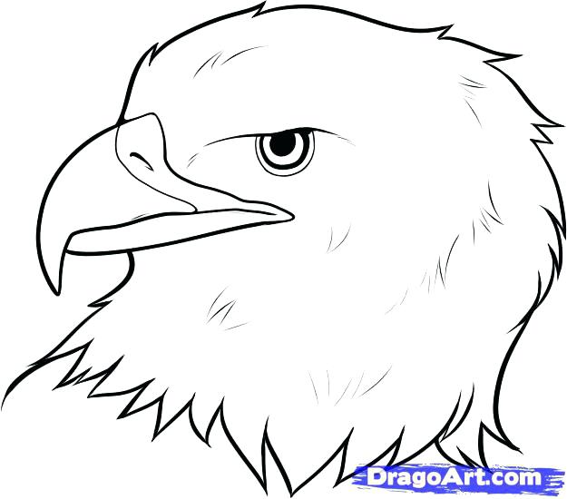 Simple Eagle Drawing at PaintingValley.com | Explore collection of ...