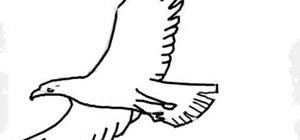 300x140 How To Draw A Basic Eagle Drawing Illustration Wonderhowto - Simple Eagle Drawing