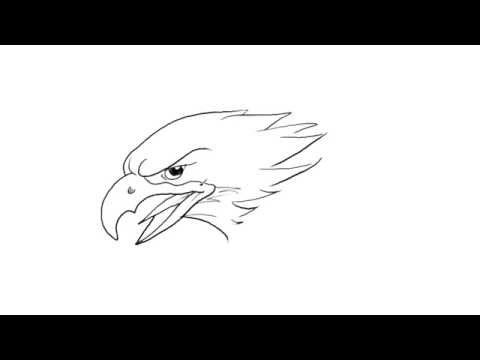 480x360 How To Draw An Eagle Head Easy Picture Drawing Yzarts - Simple Eagle Drawing