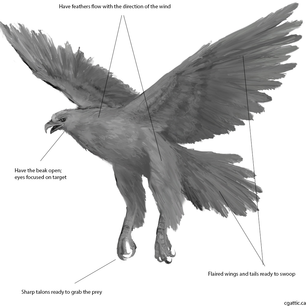 1000x1000 Realistic Eagle Drawings In Steps With Photoshop - Simple Eagle Drawing