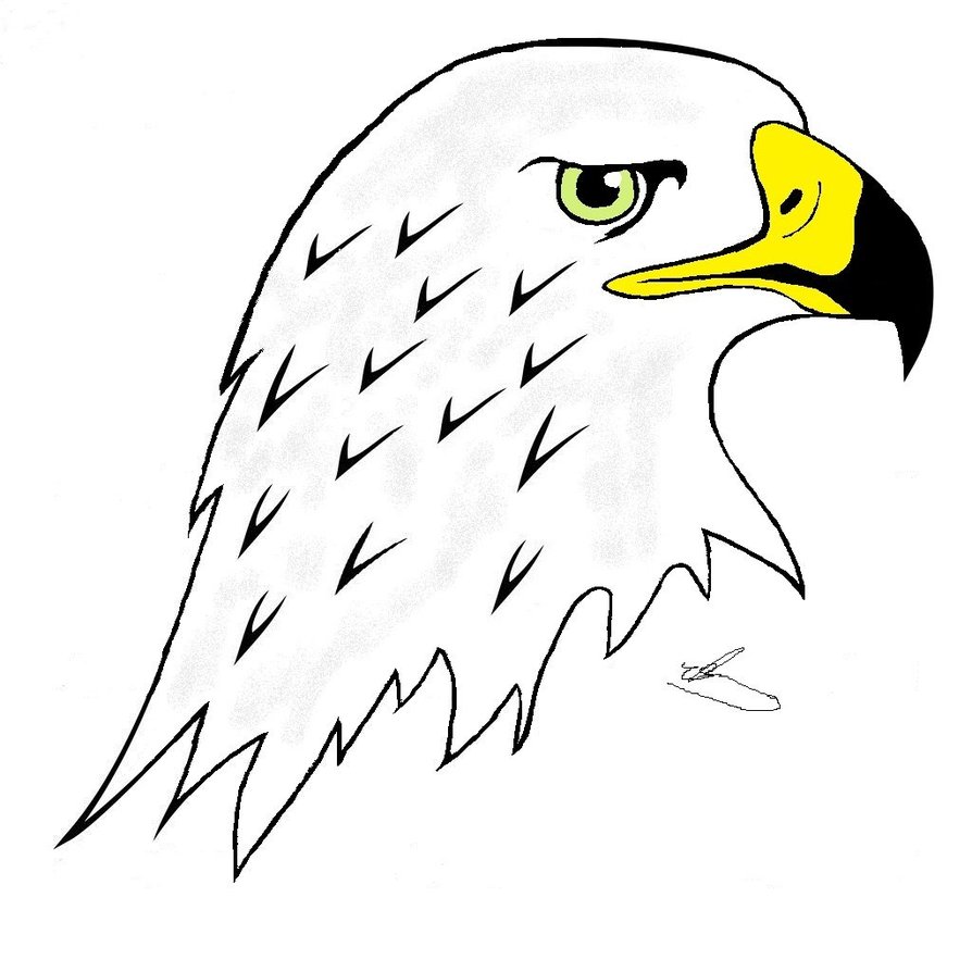 Simple eagle drawing