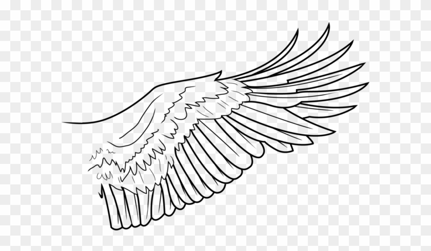 840x490 Simple Wing Lines - Simple Eagle Drawing