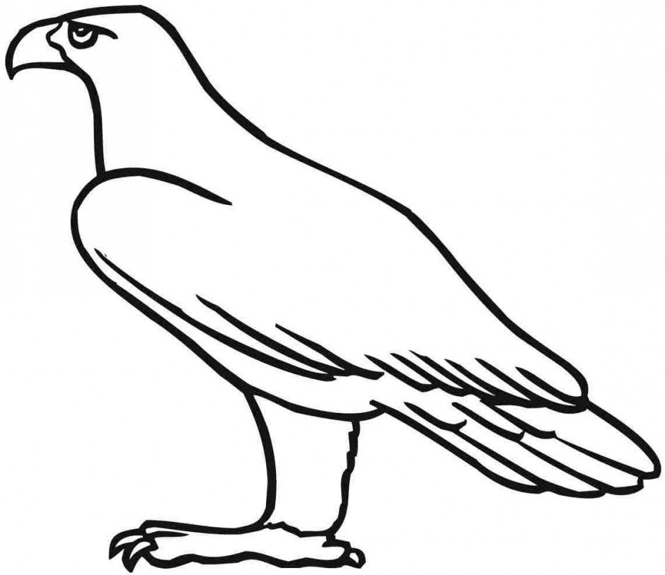 940x813 Simple Eagle Standing Coloring - Simple Eagle Drawing