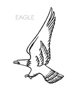 260x300 Eagle Coloring Pages Playing Learning - Simple Eagle Drawing