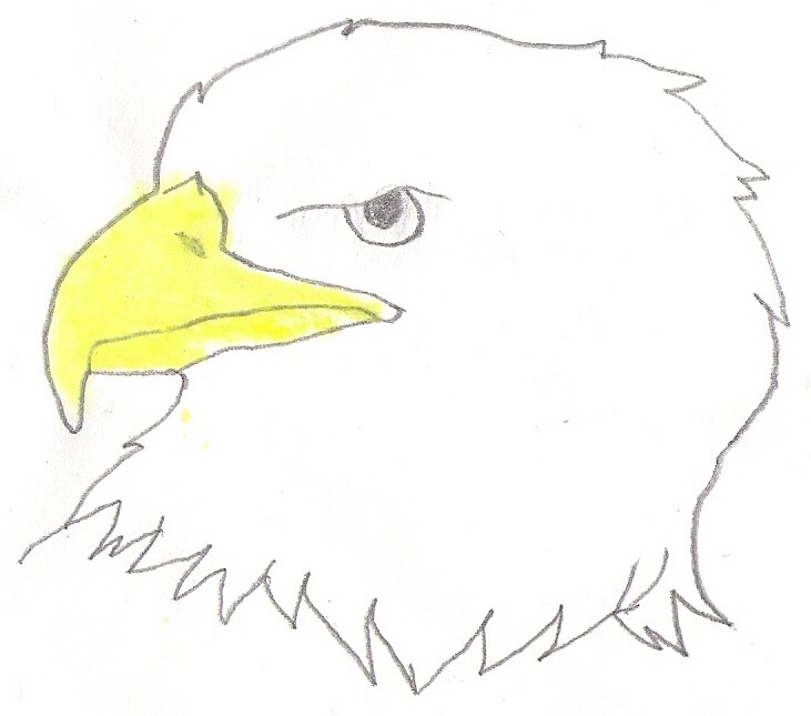 Simple Eagle Drawing at PaintingValley.com | Explore collection of ...