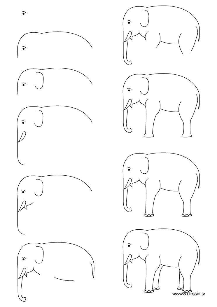 744x1052 Drawing Elephant - Simple Elephant Drawing