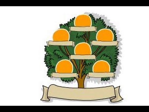 480x360 How To Draw A Family Tree - Simple Family Tree Drawing