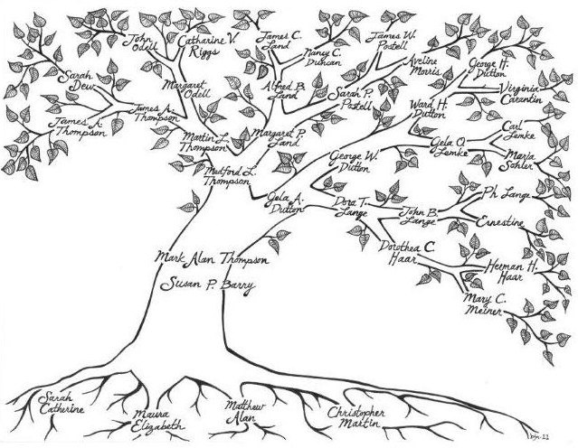 639x496 Easy Family Tree Drawing - Simple Family Tree Drawing