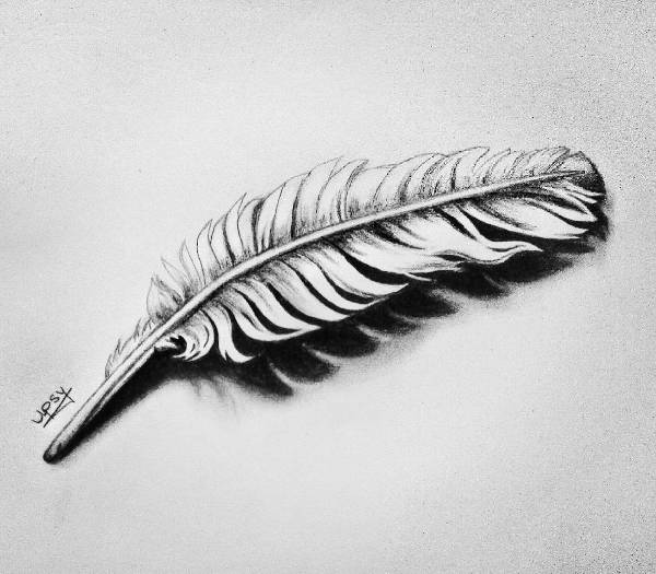 Feather Outline Drawing at PaintingValley.com | Explore collection of ...
