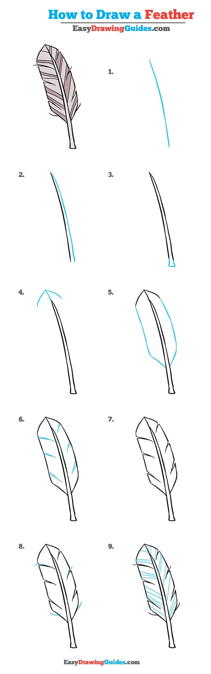736x2350 How To Draw A Feather - Simple Feather Drawing