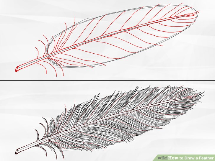 728x546 How To Draw A Feather Steps - Simple Feather Drawing