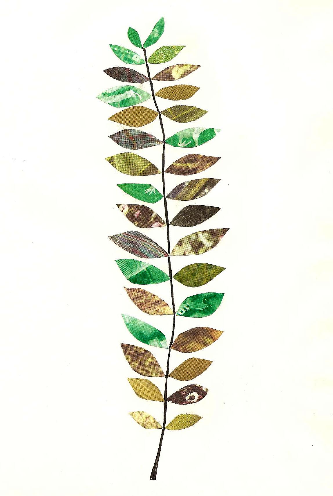 1148x1708 day fern making made - Simple Fern Drawings