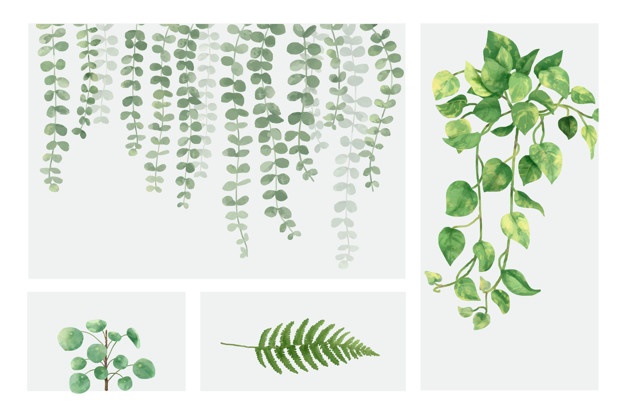 626x416 fern vectors, photos and free download - Simple Fern Drawings