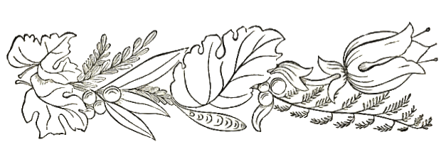 627x231 Ferns And Flowers - Simple Fern Drawings