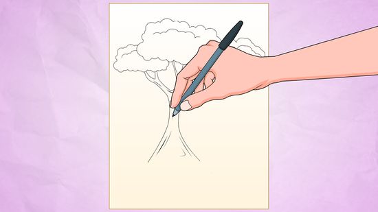 550x309 How To Draw A Simple Tree Steps - Simple Fern Drawings