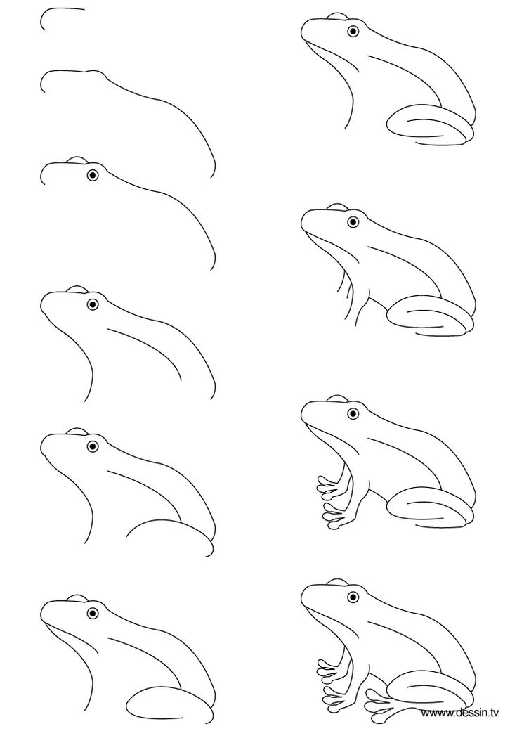 736x1040 How To Draw Realistic Ferns - Simple Fern Drawings