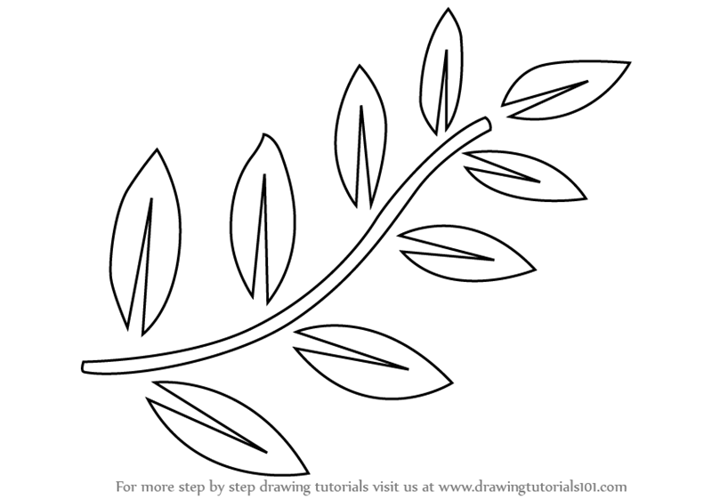 800x561 learn how to draw fern leaves plants step step drawing tutorials - Simple Fern Drawings