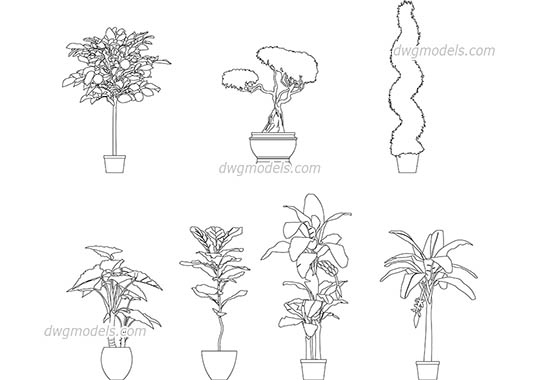 540x380 trees and plants dwg models, cad drawings free download - Simple Fern Drawings
