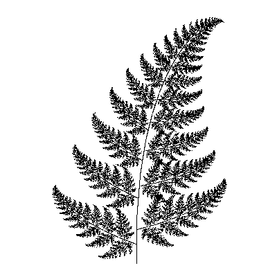 Simple Fern Drawings at PaintingValley.com | Explore collection of ...