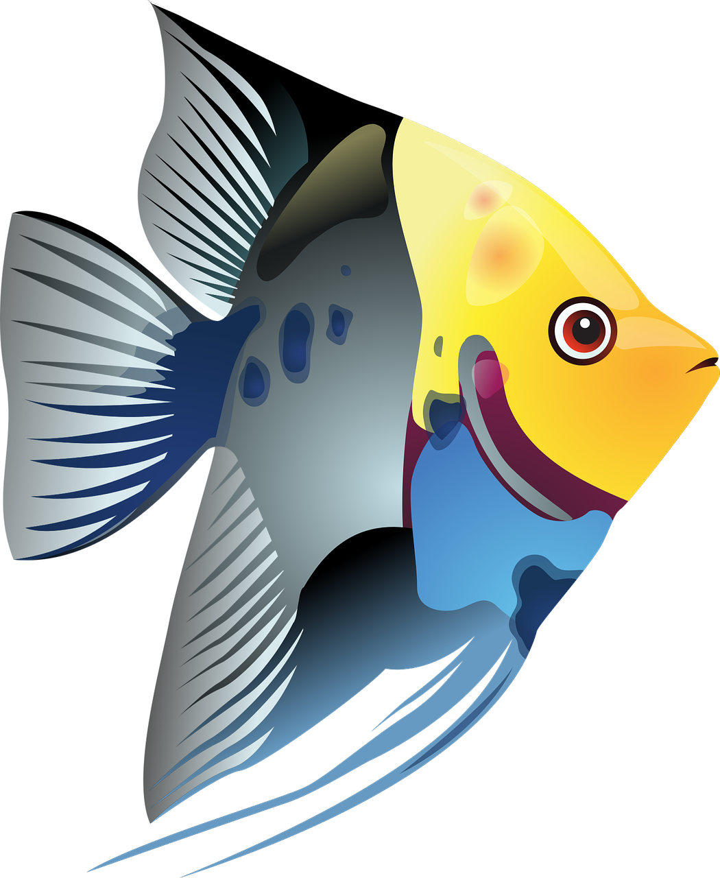 1050x1280 Collection Of Free Guided Drawing Fish Download On Ui Ex - Simple Fish Drawing