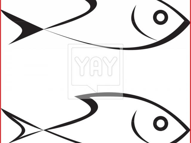 640x480 Simple Fish Drawing - Simple Fish Drawing