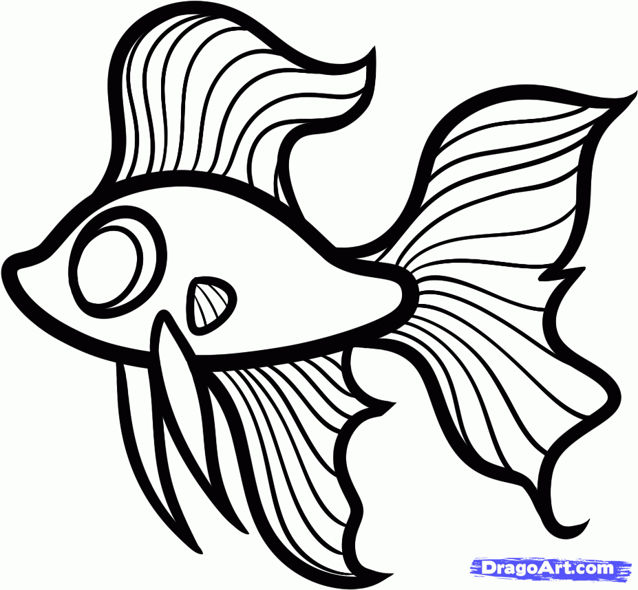 927x858 simple fish drawing astonishing how to draw a attachment - Simple Fish Drawing